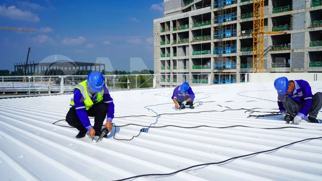 Excellent Canon | Canlon TMP s'associe à JD.com pour créer le projet de toit « Champion du marathon » le plus « durable » !