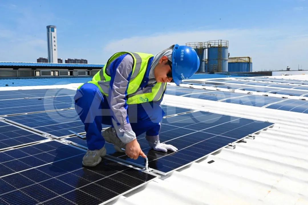 Focus Canon |La qualité intégrée débarque sur CCTV - Le panneau intégré TMP est apparu sur la chaîne financière de CCTV !