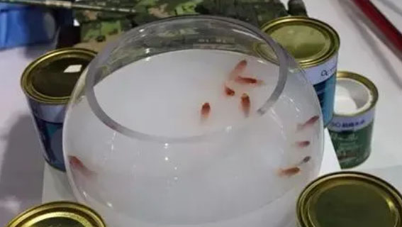 CANLON Vert |Vous ne pouvez pas boire cette peinture, mais vous pouvez la boire en toute confiance dans les installations de distribution d'eau qui l'utilisent !