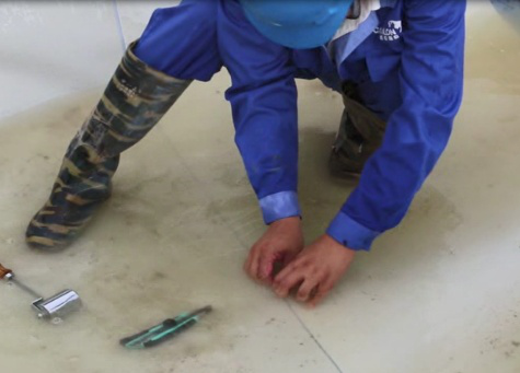 membrane d'&eacute;tanch&eacute;it&eacute; pr&eacute;-appliqu&eacute;e forfens 2