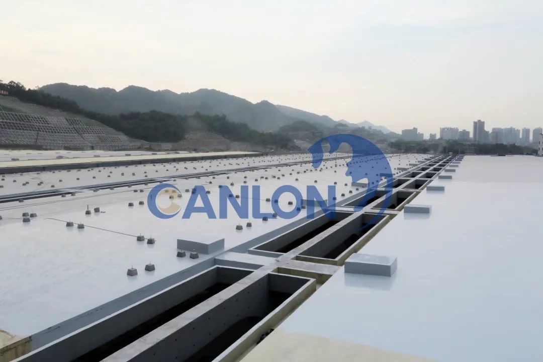 Excellent CANLON |Cette récompense est si précieuse que CANLON a oublié de le dire à tout le monde !