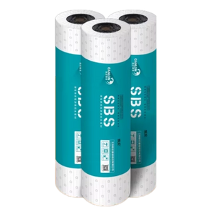 CANSHIELD SBS300 MANIMINE MODIFIÉE