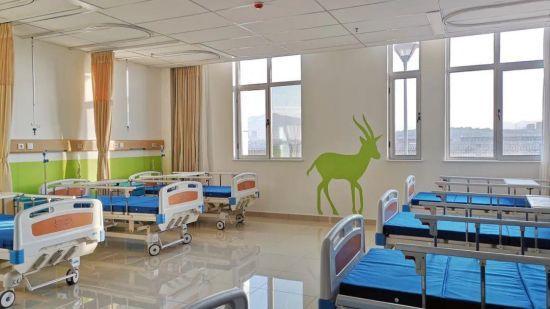 Centre de d&eacute;veloppement pour enfants handicap&eacute;s en Mongolie